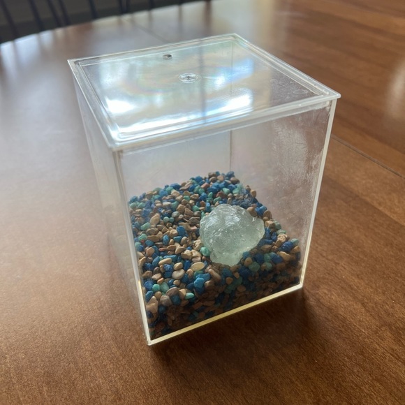 Frog Habitat - Picture 3 of 9